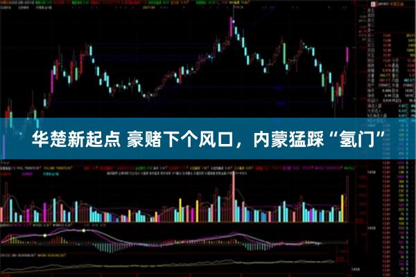 华楚新起点 豪赌下个风口，内蒙猛踩“氢门”