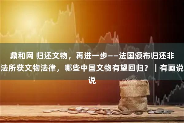鼎和网 归还文物，再进一步——法国颁布归还非法所获文物法律，哪些中国文物有望回归？｜有画说